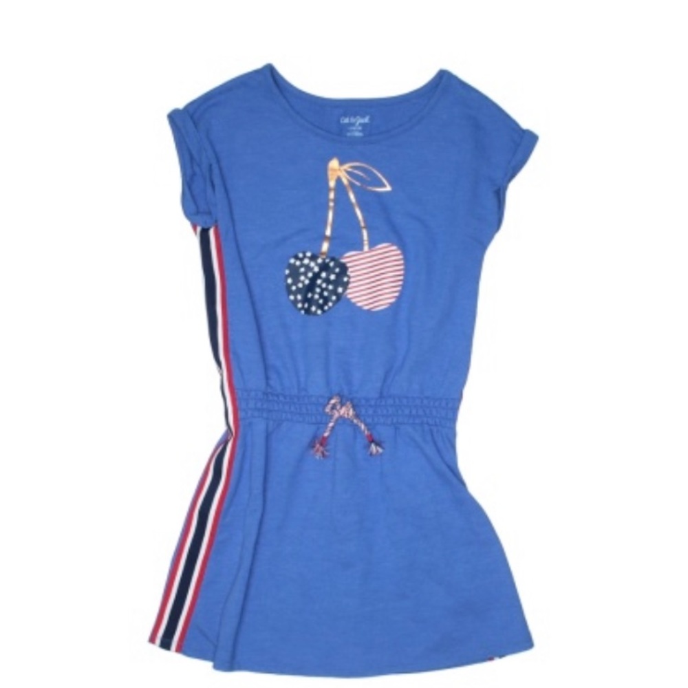 Cat & Jack dress
